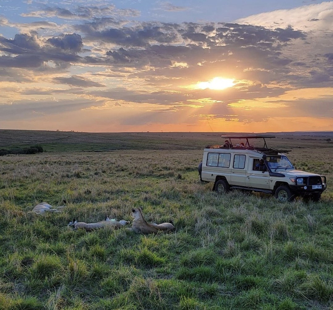 Best of East Africa Group Tour